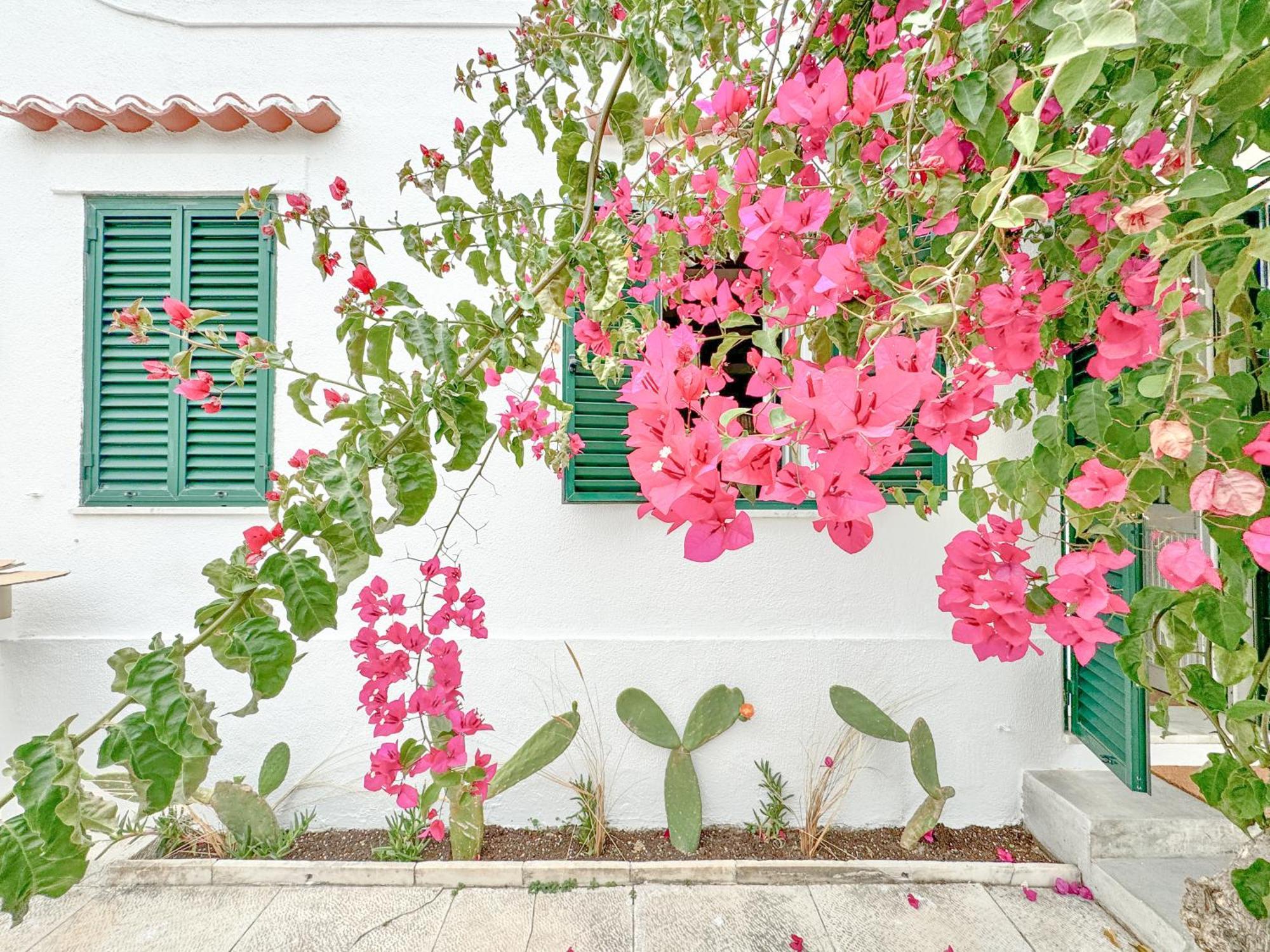 Costa Inn Beach House With Pool By Homeful Homes Costa da Caparica Exterior foto